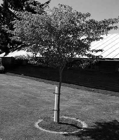 Full View of Tree Canteen - Urban Forestry Services, Inc.