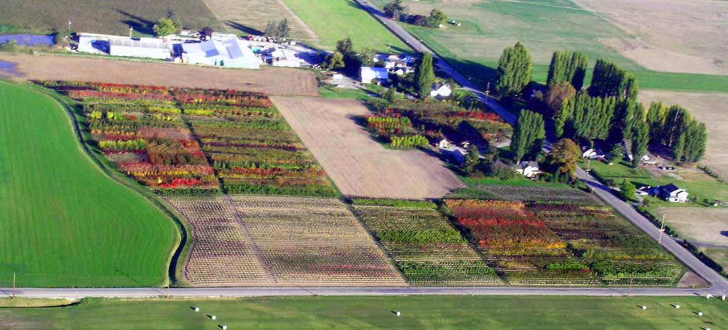 Aerial View of Urban Forest Nursery, Inc.